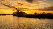 mark Landamore - Turf Fen